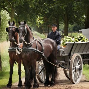 Estia Uitvaarten - Landelijke uitvaart Rouw vervoer paard en wagen grijze oogstwagen