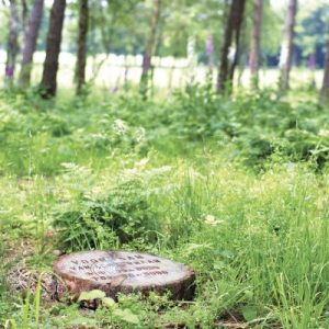 Estia Uitvaarten - Thema uitvaart duurzaam natuurbegraafplaats